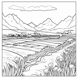 a rice field in reunion island