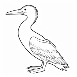 kids coloring page with cormorant black and white simple line art style minimalist drawing white background style raw