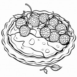 pie  encased in a flaky crust pie filled with fruits or custards