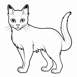 siamese cat