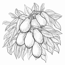 mango color by number