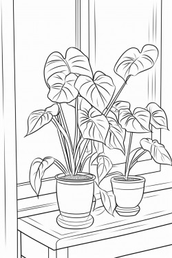 philodendron billietiae on a tabletop next to a window