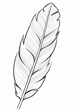 puerto rico flag in a feather