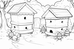 bee hives