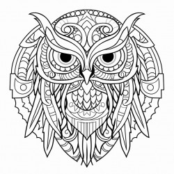 owl mandala art