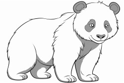panda