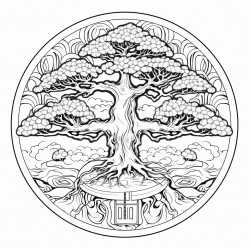 mandala zen bonsai