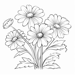 transparente para colorear