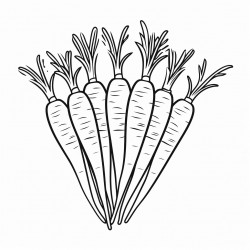 carrots