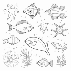 sea life