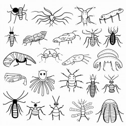 evolution and diversity of non living organisms including a bacteriophage
