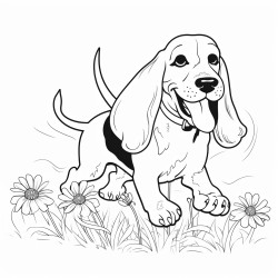 basset hound running through daisies
