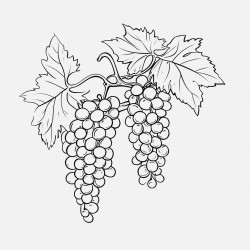vines