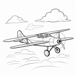 turkey flying and airplane