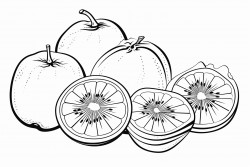 watermelon oranges and kiwi fruits