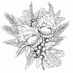 bottlebrush flowers