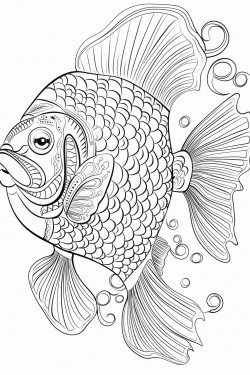 fish coloring book
