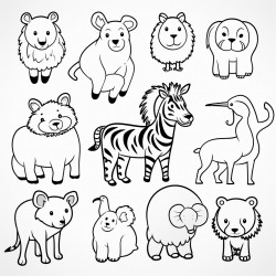 animals