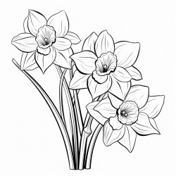 simple daffodils flower drawing with bold and black lines