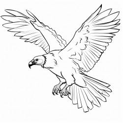 a vulture flying up high
