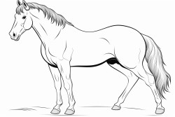 horse