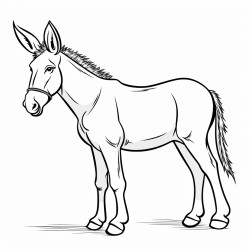 burro