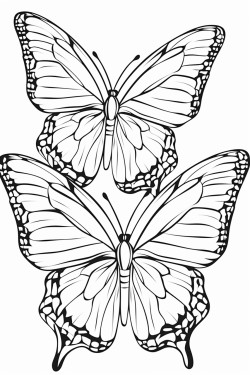 3 large butterflies flying around keep the design simple with bold black lines