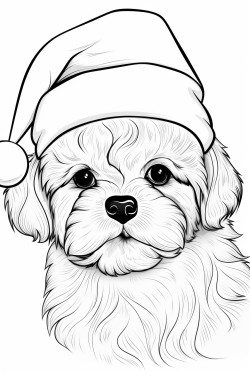 fluffy puppy with santa hat