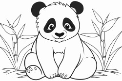 panda