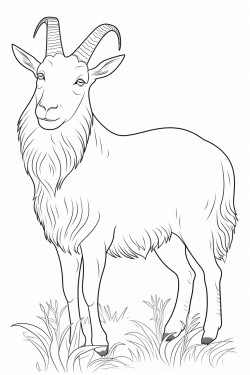 goat