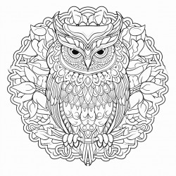 mandala owl with ornate pattern inside and outside nature theme
