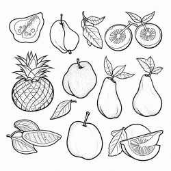 fruit