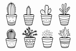 cacti