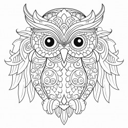 mandala owl