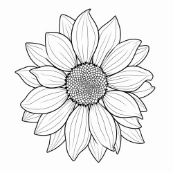 simple sunflower