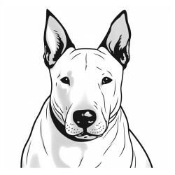 bull terrier
