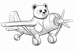 panda on a plane