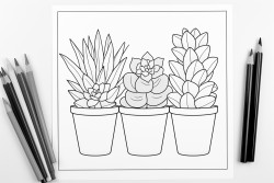 succulents