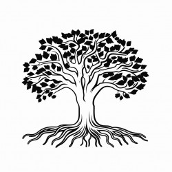 tree with roots