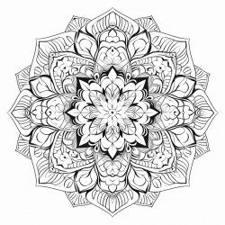 mandala with motivation quote