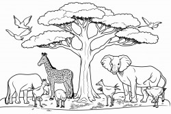 an african safari scene with 12 animals and 2 baobab trees