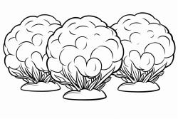 bushes