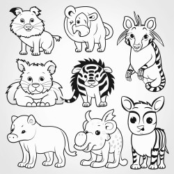animals