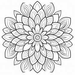 back and white no gradient no colour thick lines
