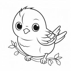 a cute sweet little bird