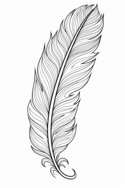 a cute  ethereal feathers  coloring bookvector white background black and white black drawing