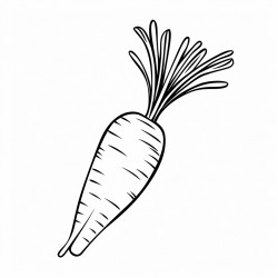 carrot