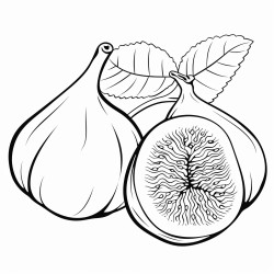 fig