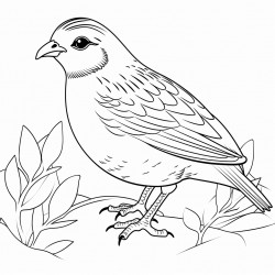 a quail working on leaves