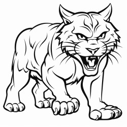wildcat